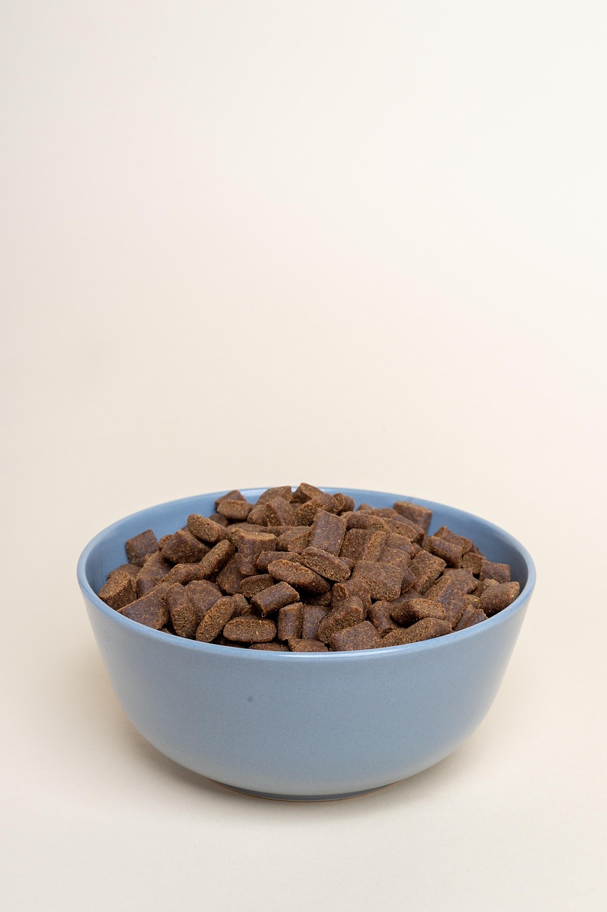 Dog food